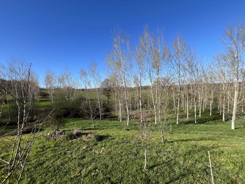 Vente Maison TROCHE - 2 pièces -45 m² - (19230)