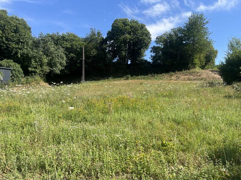 Vente Terrain LASCAUX - -1326 m² - (19130)