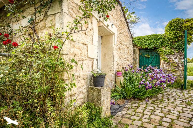 Vente Maison LA JARNE - 8 pièces -280 m² - (17220)