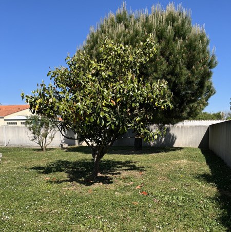 Vente Maison CHATELAILLON PLAGE - 5 pièces -115 m² - (17340)