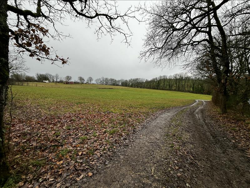 Vente Terrain CAYLUS - -2500 m² - (82160)