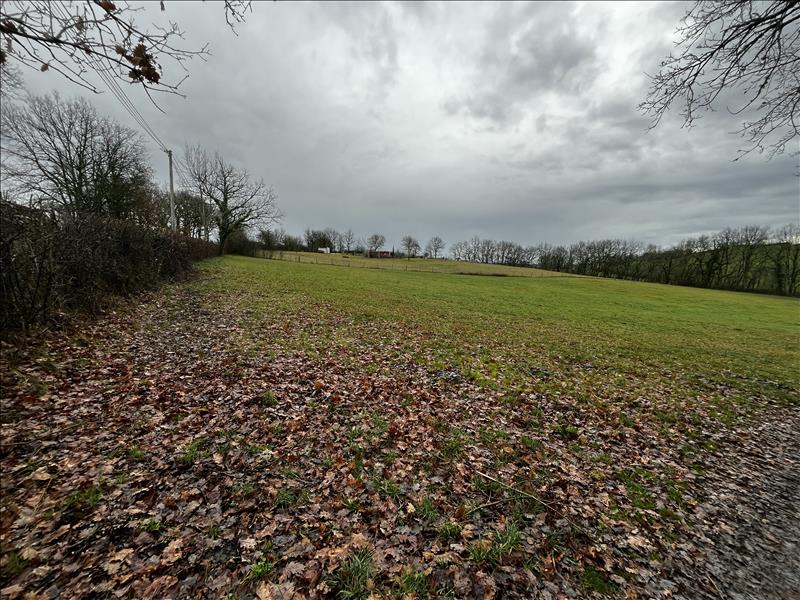 Vente Terrain CAYLUS - -2500 m² - (82160)