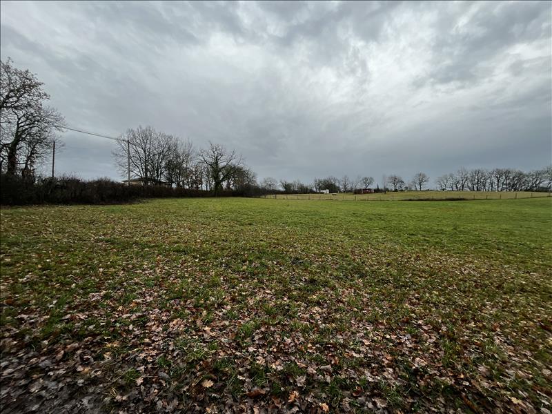 Vente Terrain CAYLUS - -2500 m² - (82160)