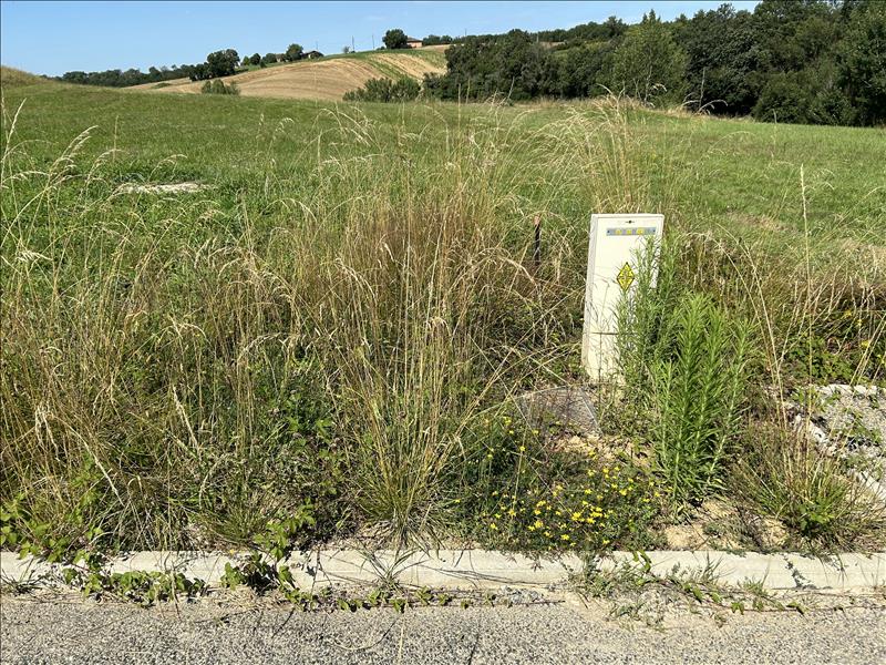 Vente Terrain MONCLAR DE QUERCY - -1795 m² - (82230)