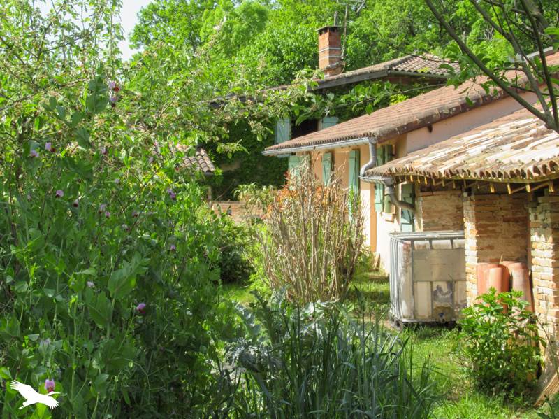 Vente Maison MOLIERES - 12 pièces -285 m² - (82220)