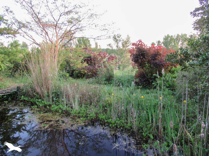 Vente Maison MOLIERES - 12 pièces -285 m² - (82220)
