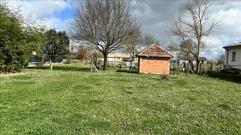 Vente Terrain NEGREPELISSE - -1326 m² - (82800)
