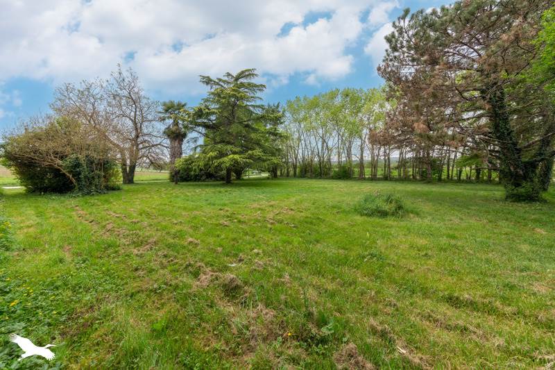 Vente Maison REALVILLE - 11 pièces -235 m² - (82440)