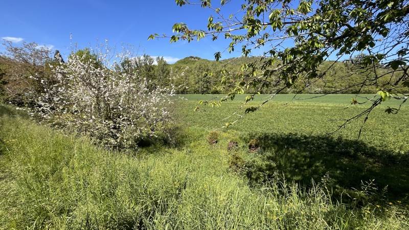 Vente Maison PUYCELSI - 3 pièces -145 m² - (81140)