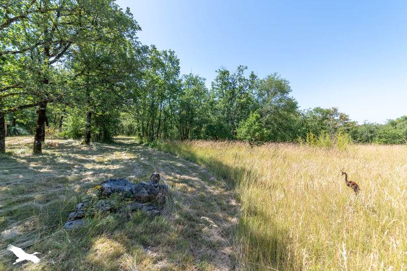 Vente Maison ST ANTONIN NOBLE VAL - 5 pièces -155 m² - (82140)