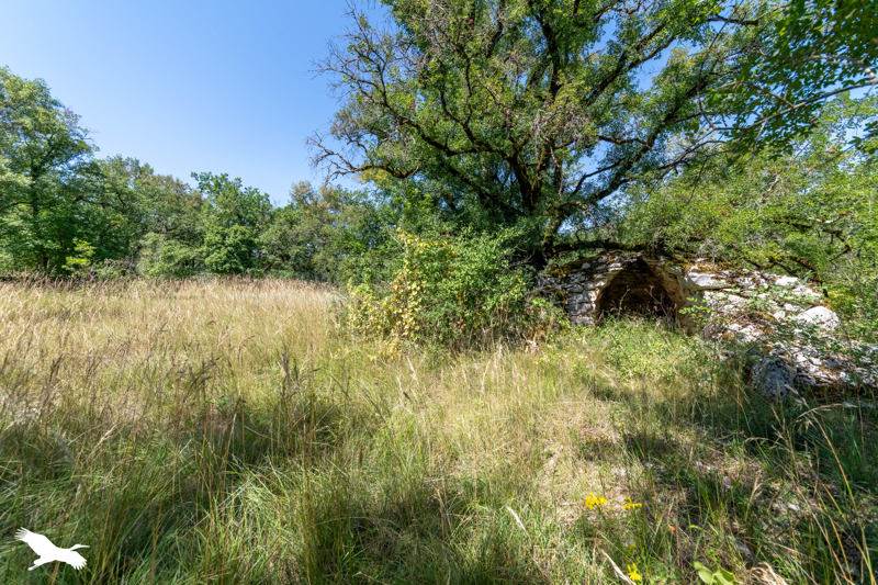 Vente Maison ST ANTONIN NOBLE VAL - 5 pièces -155 m² - (82140)