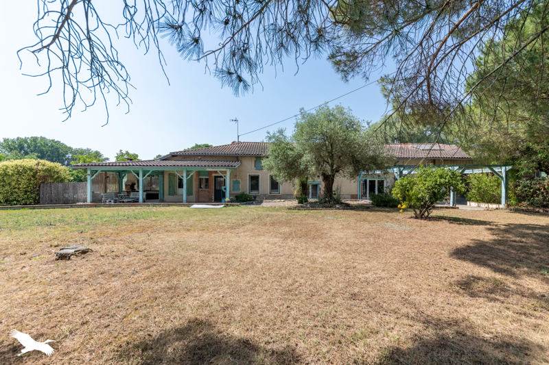 Vente Maison REALVILLE - 6 pièces -305 m² - (82440)