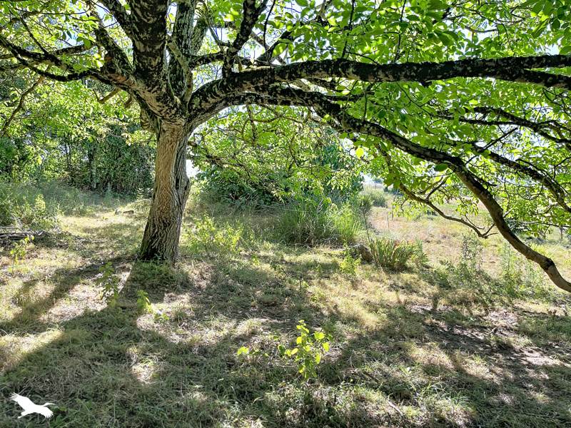 Vente Maison MOLIERES - 3 pièces -92 m² - (82220)