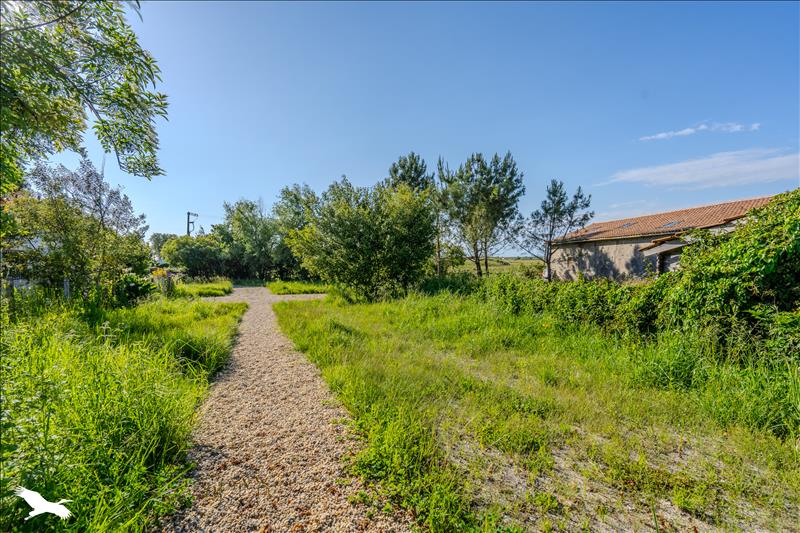 Vente Maison TALAIS - 3 pièces -75 m² - (33590)