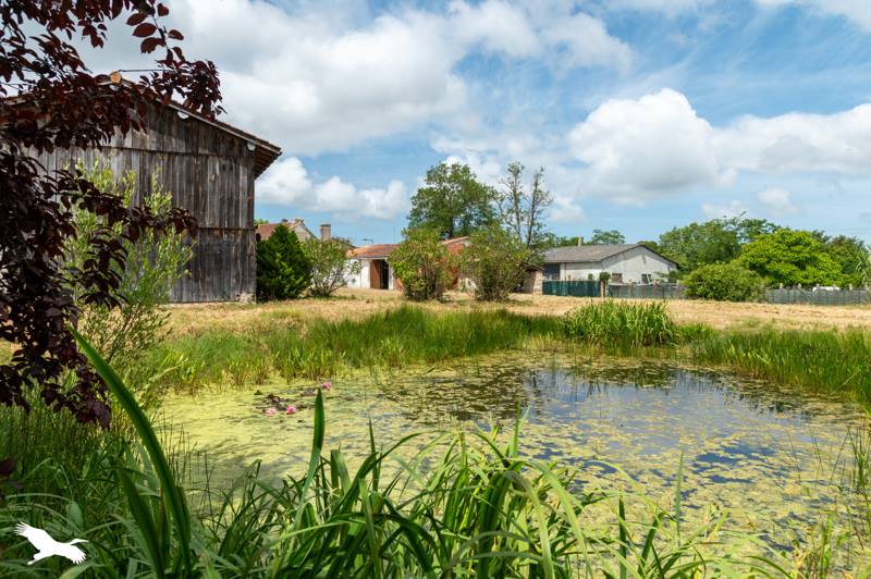 Vente Maison ST VIVIEN DE MEDOC - 5 pièces -123 m² - (33590)