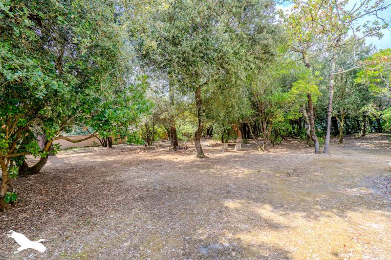 Vente Maison SOULAC SUR MER - 7 pièces -182 m² - (33780)