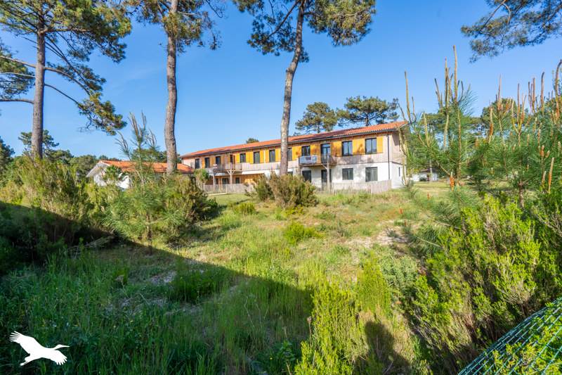 Vente Appartement VENDAYS MONTALIVET - 3 pièces -58 m² - (33930)