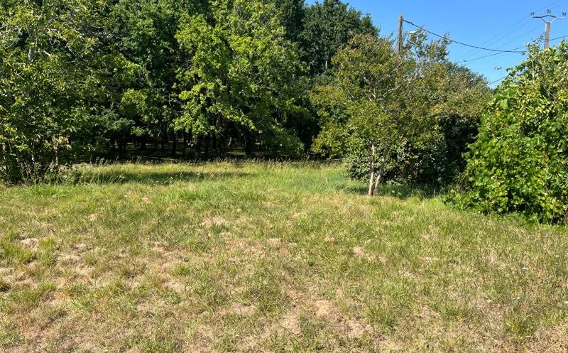 Vente Terrain GRAYAN ET L HOPITAL - -455 m² - (33590)