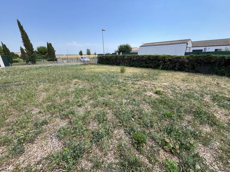Vente Terrain ST ROGATIEN - -364 m² - (17220)