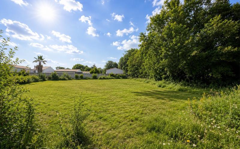 Vente Terrain BOURGNEUF - -1000 m² - (17220)