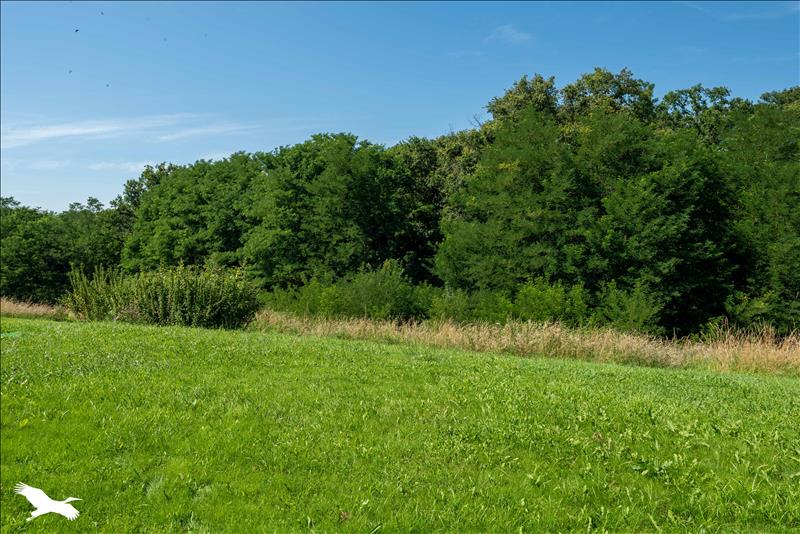 Vente Maison MANT - 6 pièces -200 m² - (40700)