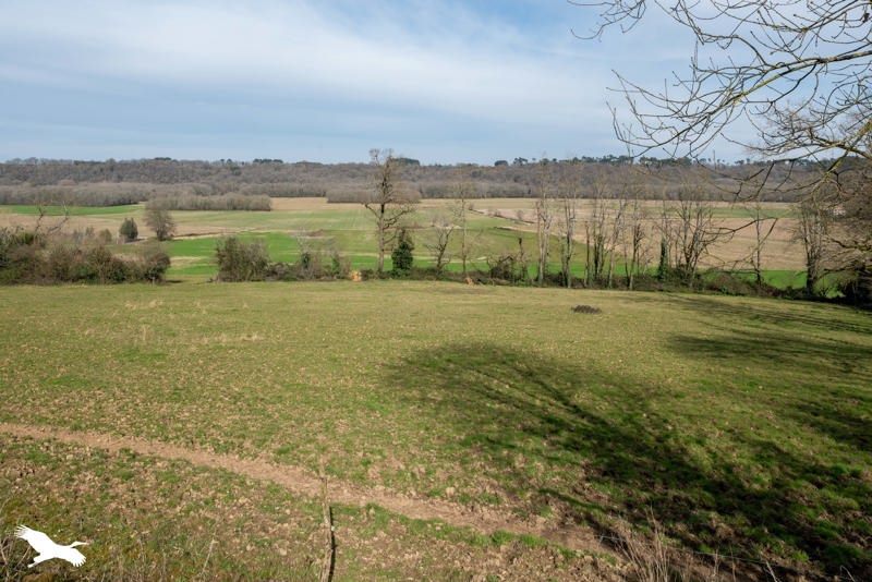 Vente Maison SAMADET - 7 pièces -135 m² - (40320)