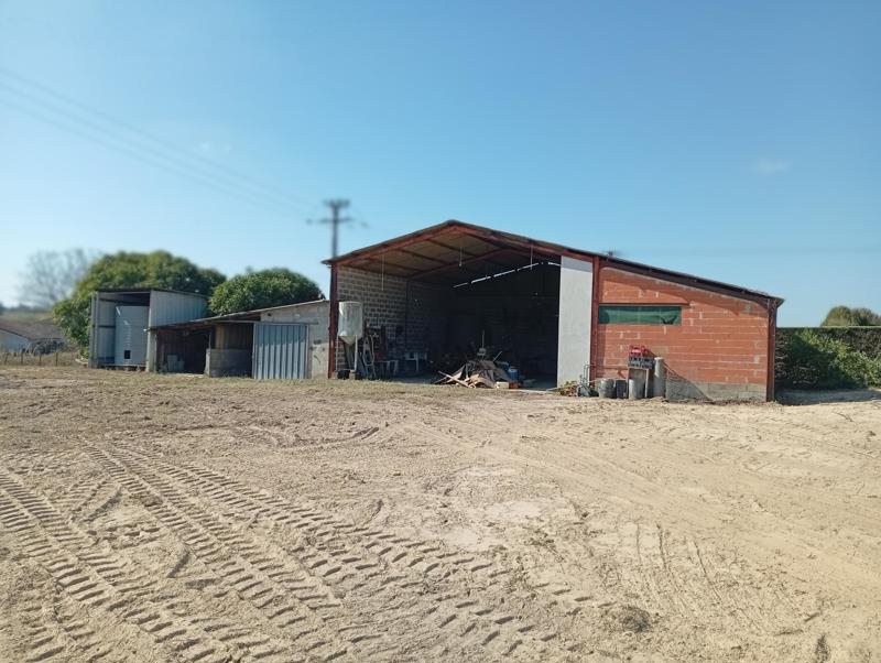 Vente Maison Coudures - 5 pièces -116 m² - (40500)