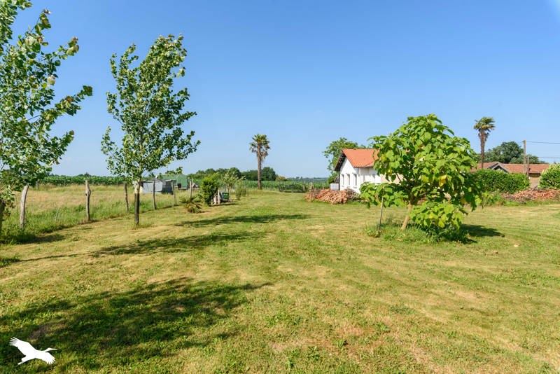 Vente Maison LACAJUNTE - 5 pièces -144 m² - (40320)