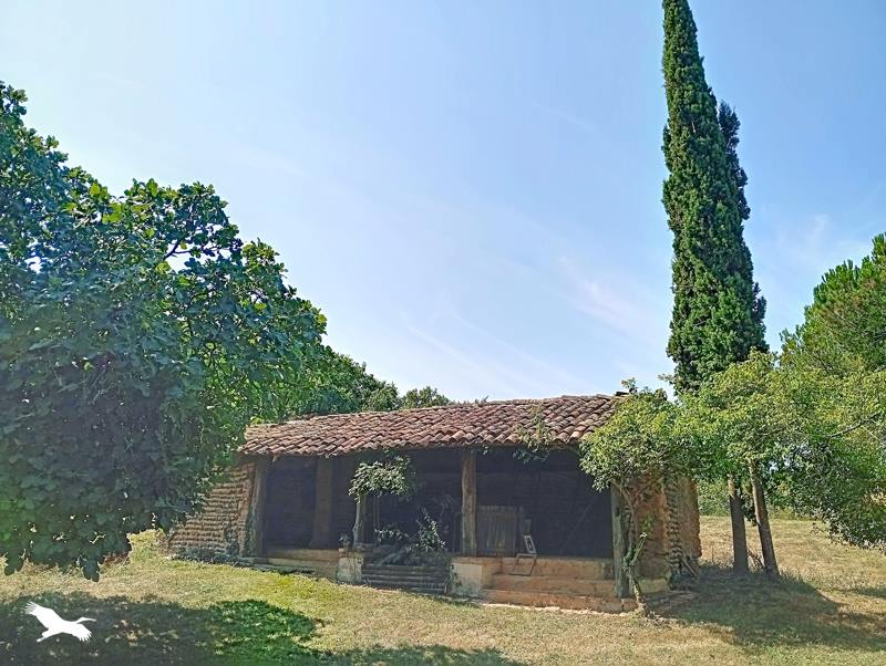 Vente Maison SERRES GASTON - 6 pièces -220 m² - (40700)