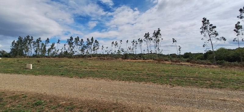 Vente Terrain Bats - -969 m² - (40320)
