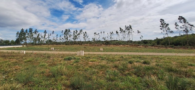 Vente Terrain Bats - -937 m² - (40320)