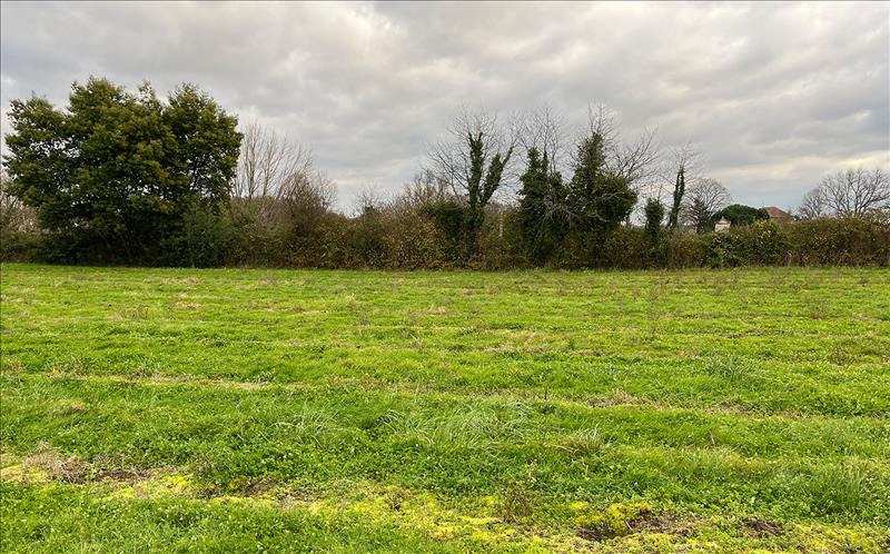 Vente Terrain GUITRES - -600 m² - (33230)