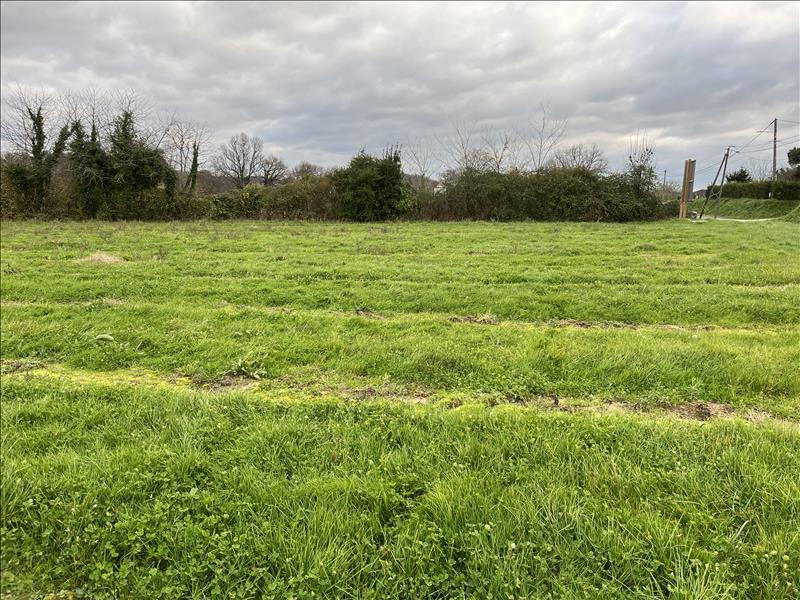 Vente Terrain GUITRES - -600 m² - (33230)
