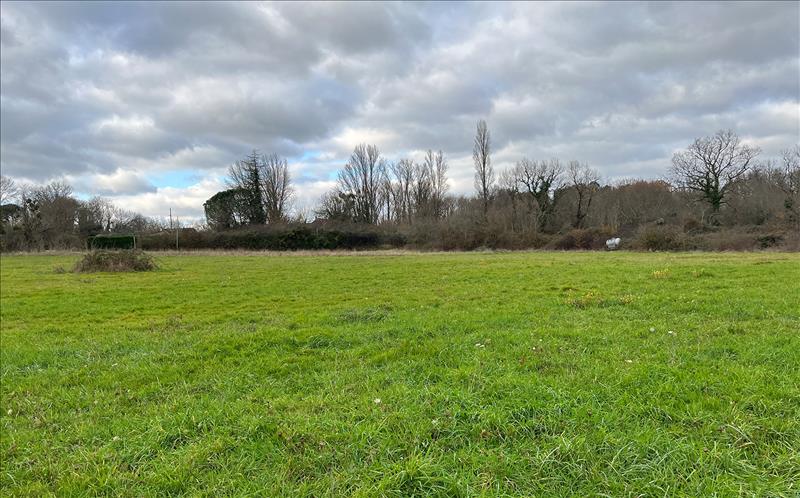 Vente Terrain GUITRES - -816 m² - (33230)
