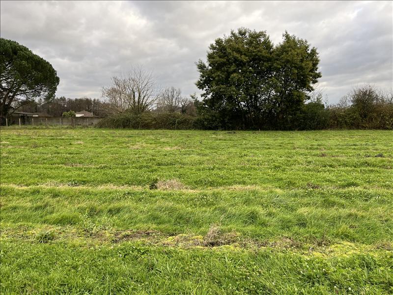 Vente Terrain GUITRES - -816 m² - (33230)