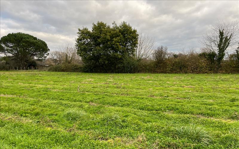 Vente Terrain GUITRES - -490 m² - (33230)