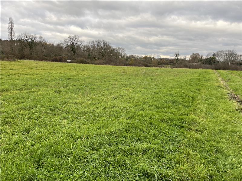 Vente Terrain GUITRES - -490 m² - (33230)