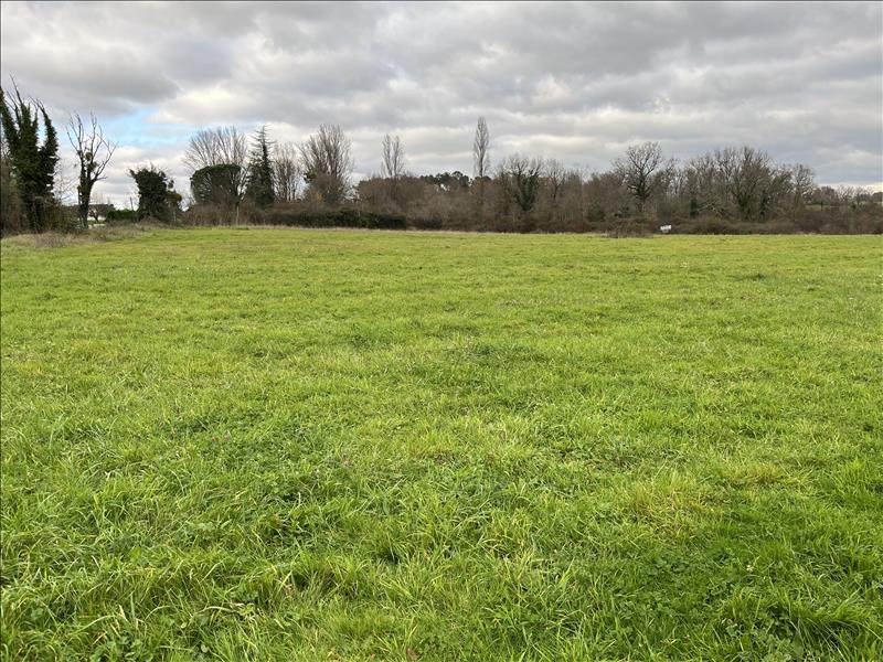 Vente Terrain GUITRES - -490 m² - (33230)
