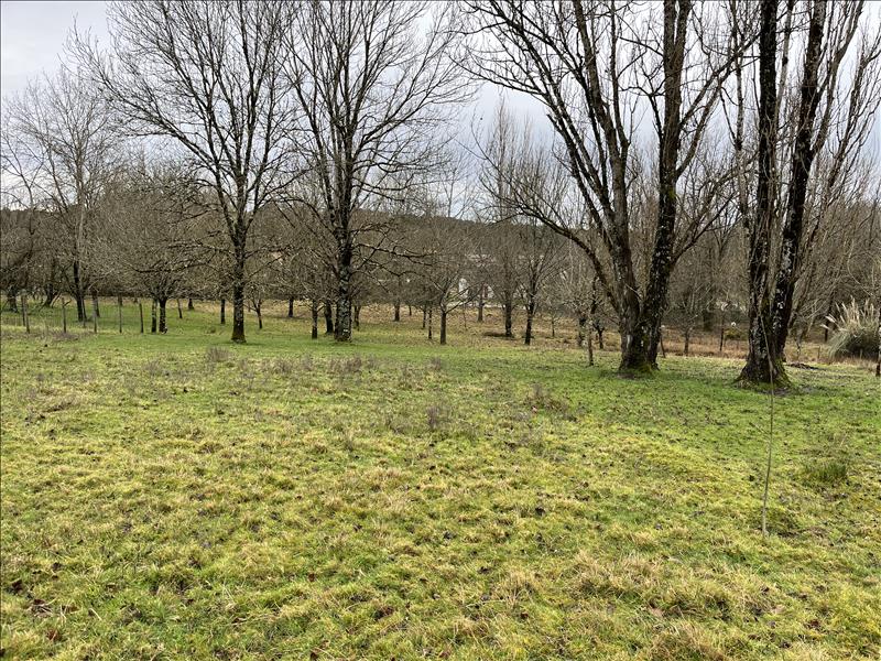 Vente Terrain LAGORCE - -2462 m² - (33230)