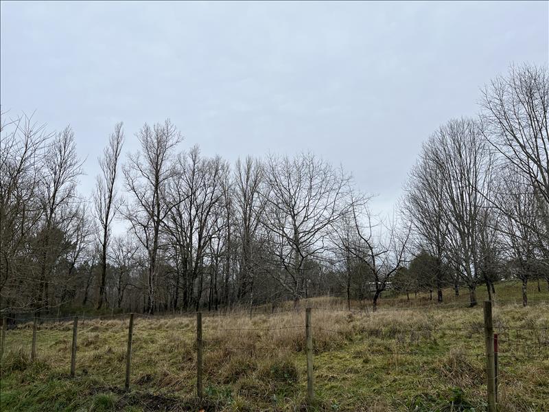 Vente Terrain LAGORCE - -2462 m² - (33230)