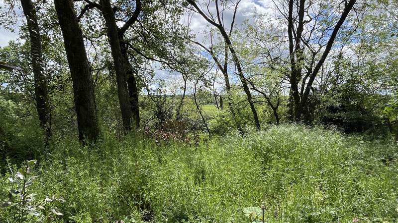 Vente Terrain COUTRAS - -1400 m² - (33230)