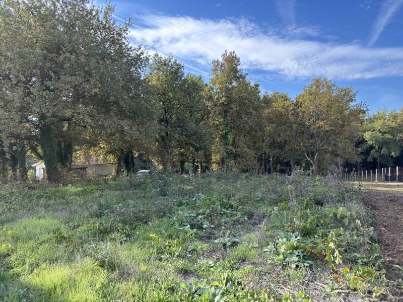 Vente Terrain LAGORCE - -3800 m² - (33230)