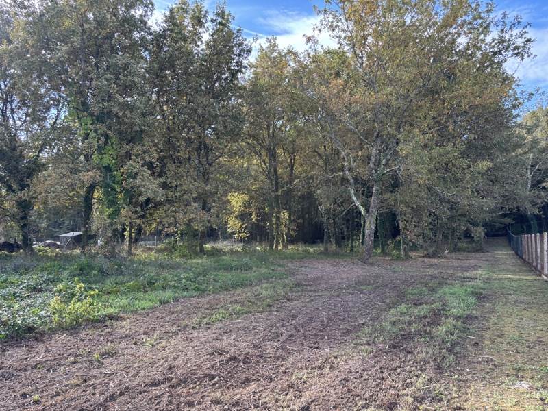 Vente Terrain LAGORCE - -3800 m² - (33230)