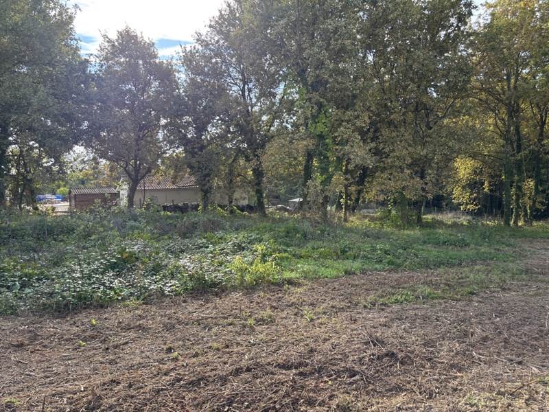 Vente Terrain LAGORCE - -3800 m² - (33230)