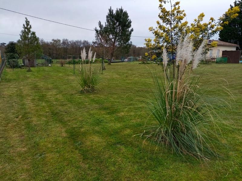Vente Maison MARANSIN - 3 pièces -46 m² - (33230)
