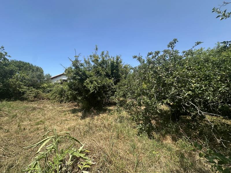 Vente Terrain LAGORD - -624 m² - (17140)