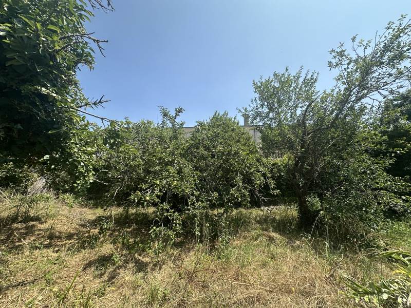 Vente Terrain LAGORD - -624 m² - (17140)