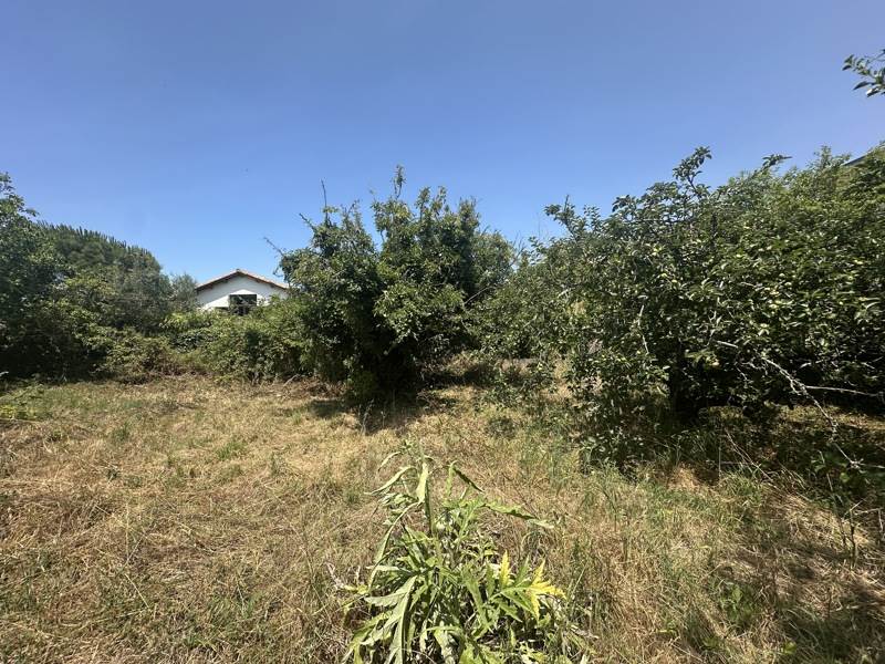 Vente Terrain LAGORD - -299 m² - (17140)