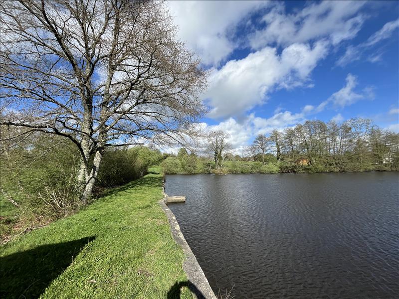 Vente Terrain ST SEBASTIEN - -20248 m² - (23160)