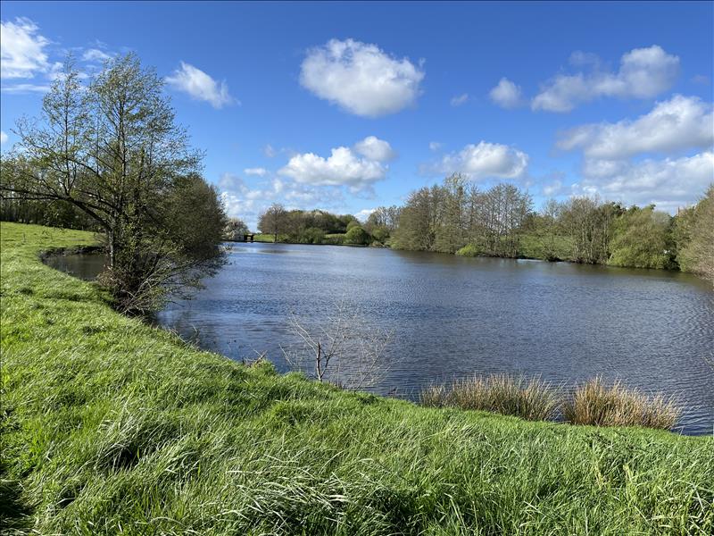 Vente Terrain ST SEBASTIEN - -20248 m² - (23160)